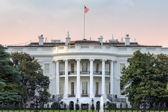 Senadores brasileiros vão aos EUA tentar barrar tarifa de 50% imposta por Trump
