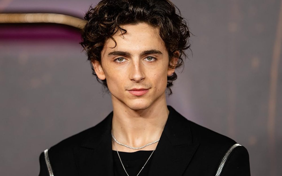 Comentário de Timothée Chalamet sobre ópera e balé gera reação de companhias e artistas