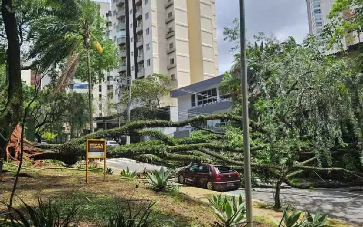 Grande SP amanhece com mais de 1,5 milhão de imóveis sem energia após ventos fortes