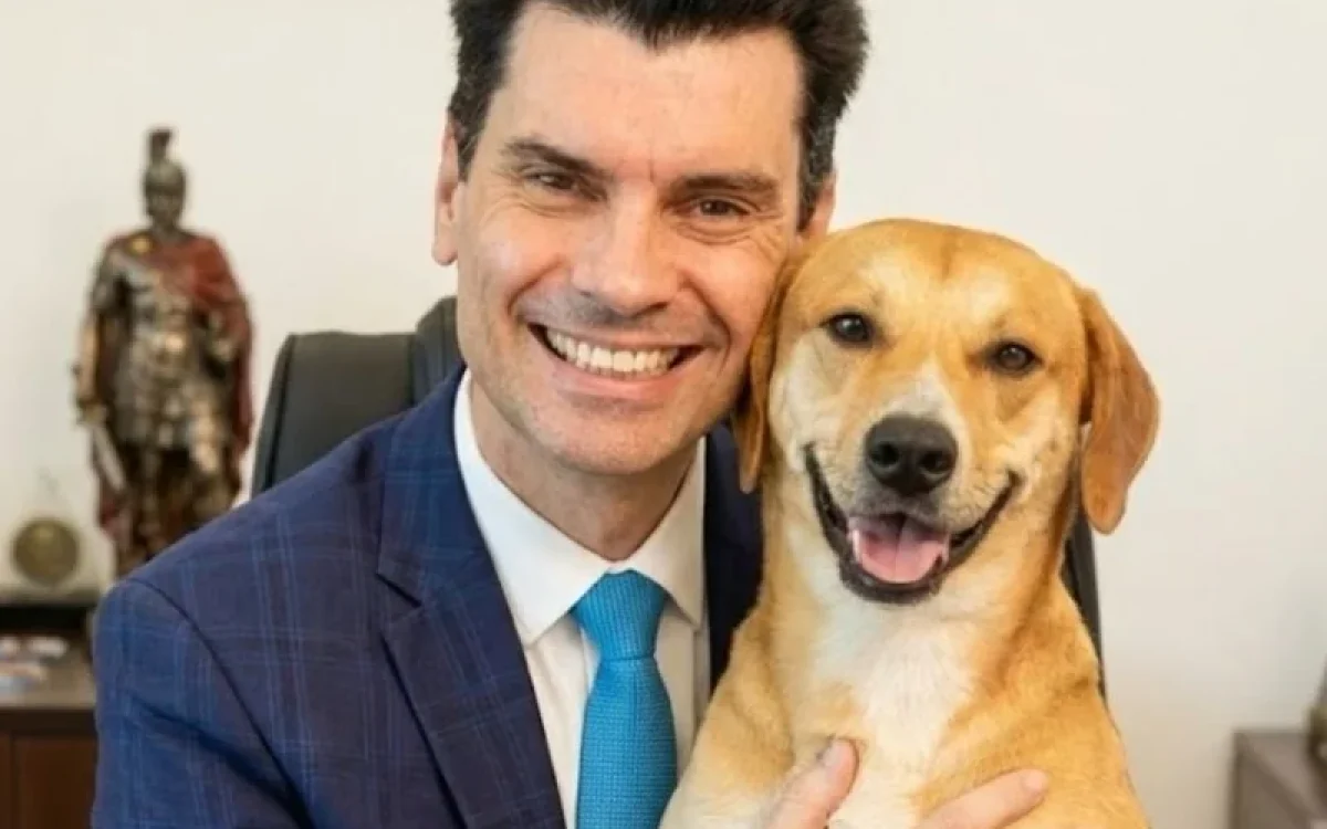 MPSC apura atuação de delegado-geral em caso da morte do cão Orelha