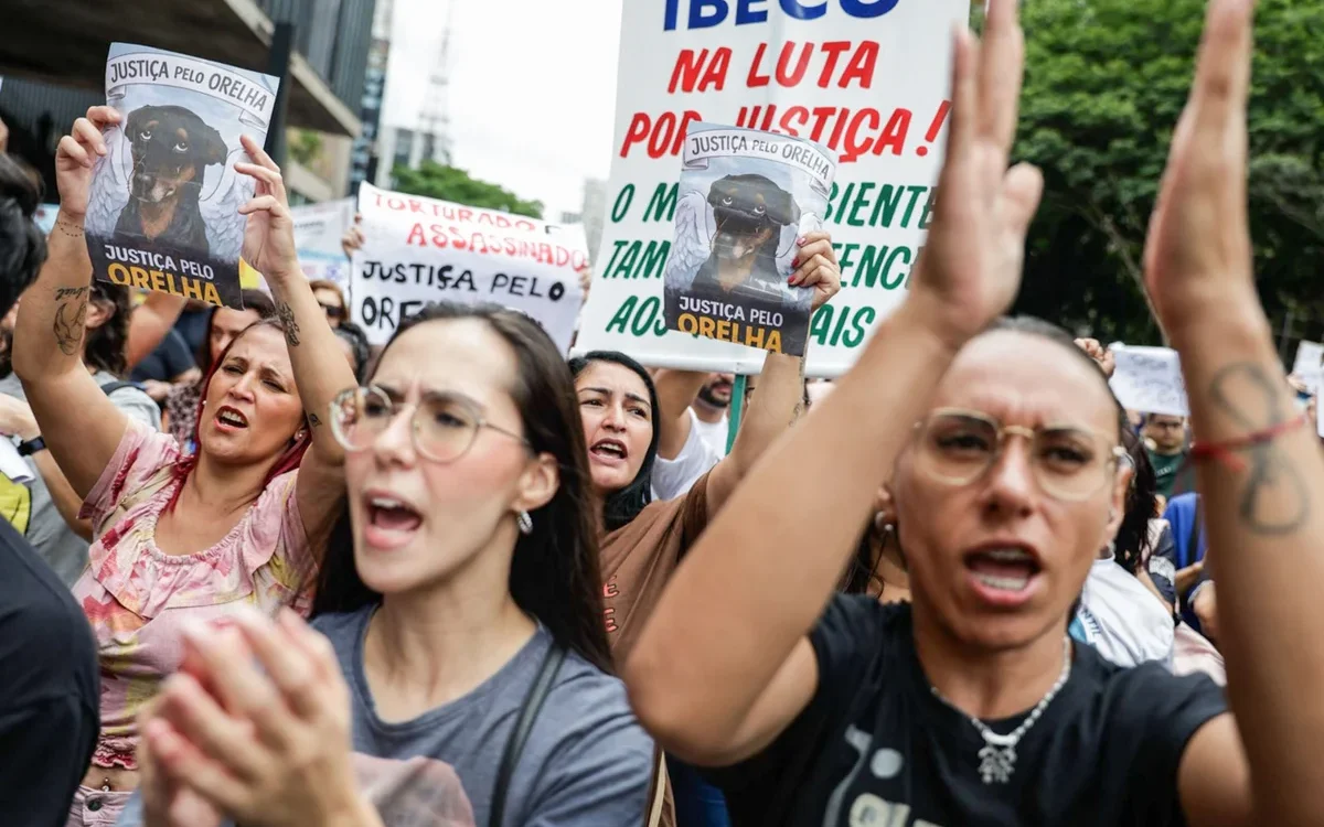 Manifestação na Avenida Paulista pede punição por morte de cão em Florianópolis